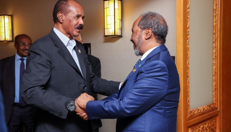 Somali and Eritrean Presidents Discuss Security Cooperation and Regional Affairs in Beijing Meeting