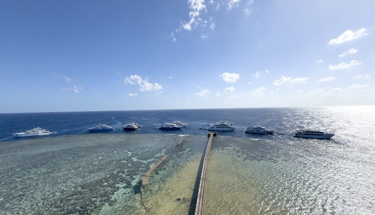 Irish Citizen Safe Following Red Sea Boat Sinking, According to Martin