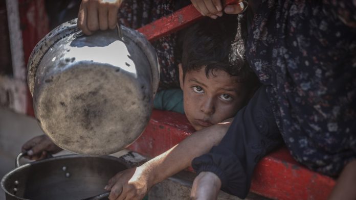 Children 'starving before our eyes' in Gaza - Tánaiste