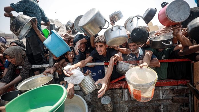 Gaza aid airdrops won't solve 'deepening starvation' - UN