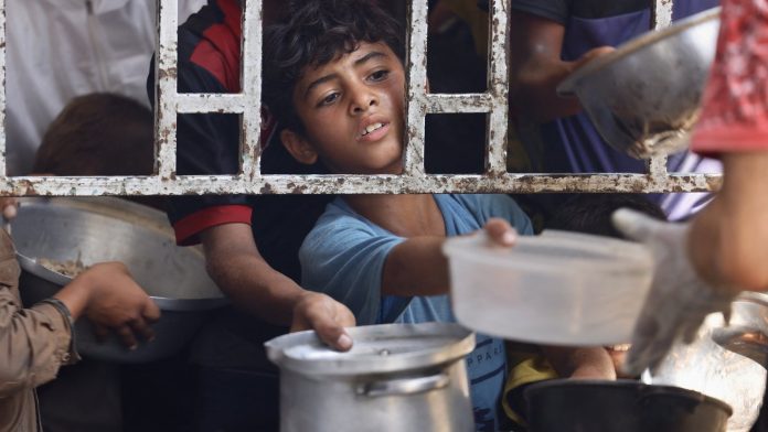 Starving Gaza children say they wish to die, charity says