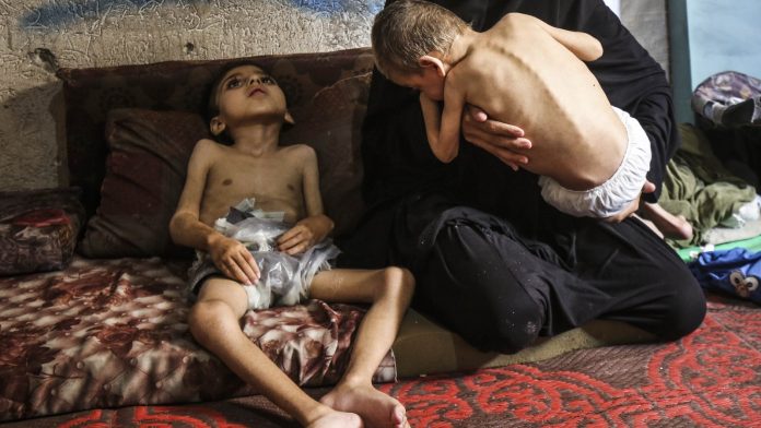 'Unlike anything we have seen' - famine warning for Gaza 'Unlike anything we have seen' - famine warning for Gaza