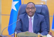 Puntland oo digniin ka soo saartay shirkado doonaya inay maalgelin ku sameeyaan xeebaheeda