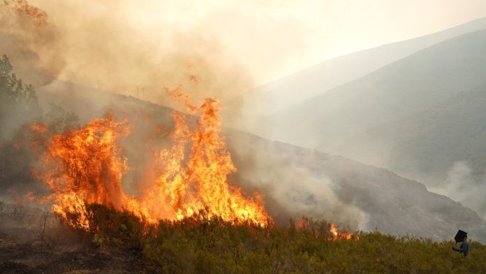 EU wildfires burnt over 1mn hectares in 2025, data shows