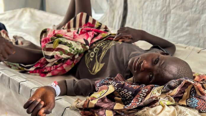 Over 40 dead in Sudan cholera outbreak, says MSF