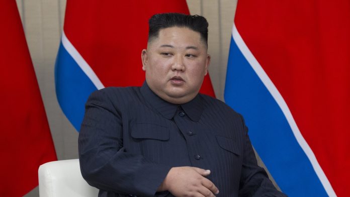 North Korea test-fires two new air defence missiles