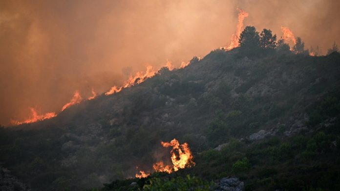 One dead, nine injured in large France wildfire