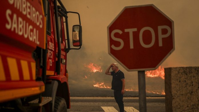 Portugal reports first death from heatwave fires