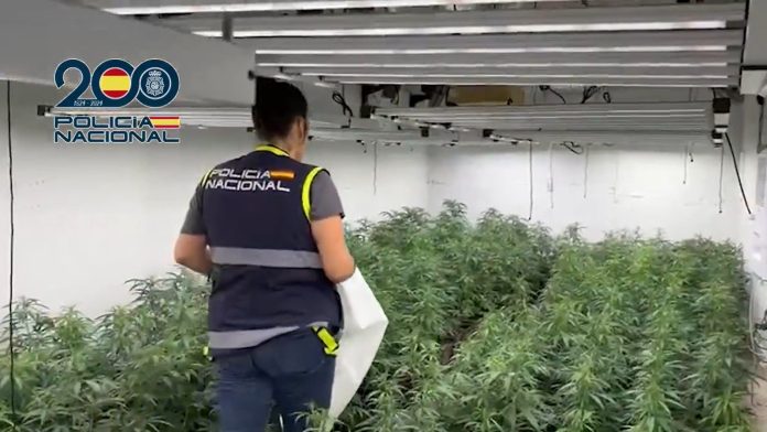 Spain police dismantle gang smuggling cannabis to Ireland