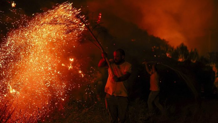 Wildfires across Europe hit tourism spots and forests