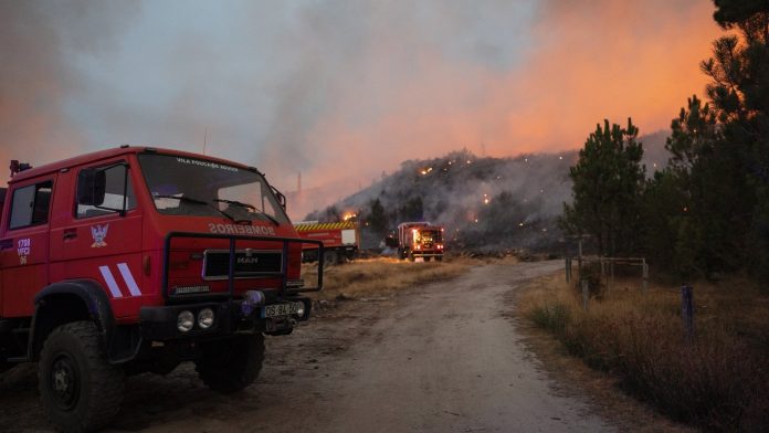 Emissions from fires highest in 23 years - EU monitor
