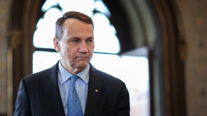 NATO 'should think about' Ukraine no-fly zone - Poland
