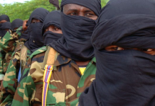 Horjooge ka tirsan kooxda Al-shabaab oo lagu dilay goblka Hiiraan