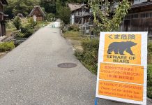 Japan dispatches military to trap bears after series of attacks Man killed in apparent bear attack in Japan