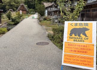 Japan dispatches military to trap bears after series of attacks Man killed in apparent bear attack in Japan