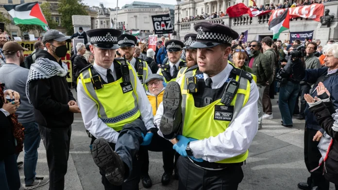 Over 175 arrested at pro-Palestine protest in London