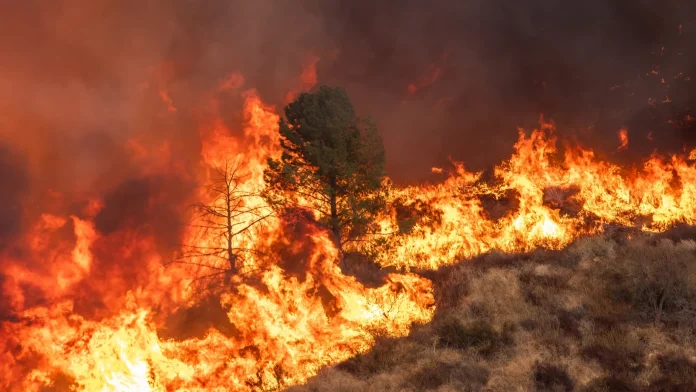 Global warming pushing planet to brink, UN chief warns