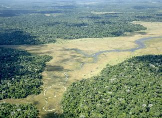 COP30 Told: Coordinated Climate Action Vital to Achieve Global Goals Coordination on climate efforts essential, COP30 to hear