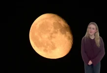 Catch the Beaver Moon Tonight: Stargazers Set to Spot It Watch: 'Beaver Moon' to be visible to stargazers