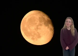 Catch the Beaver Moon Tonight: Stargazers Set to Spot It Watch: 'Beaver Moon' to be visible to stargazers