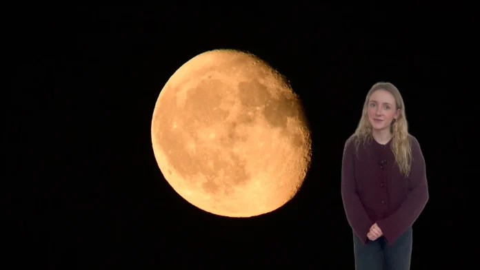 Catch the Beaver Moon Tonight: Stargazers Set to Spot It Watch: 'Beaver Moon' to be visible to stargazers