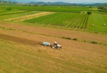 EU approves start of UK talks over agricultural and food trade EU gives green light for talks with UK on agri-food