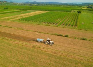 EU approves start of UK talks over agricultural and food trade EU gives green light for talks with UK on agri-food