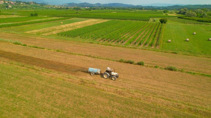 EU approves start of UK talks over agricultural and food EU gives green light for talks with UK on agri-food
