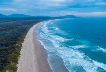 Fatal shark attack in Australia: one killed, another wounded Shark kills one person, injures another in Australia