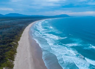 Fatal shark attack in Australia: one killed, another wounded Shark kills one person, injures another in Australia