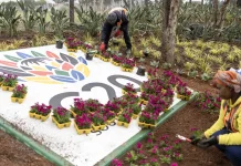 Ireland to Attend Africa’s Inaugural G20 Summit as US Boycotts Ireland to attend Africa's first G20, as US boycotts