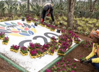 Ireland to Attend Africa’s Inaugural G20 Summit as US Boycotts Ireland to attend Africa's first G20, as US boycotts