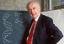 James Watson, DNA double helix pioneer, dies at 97 DNA pioneer James Watson dies aged 97