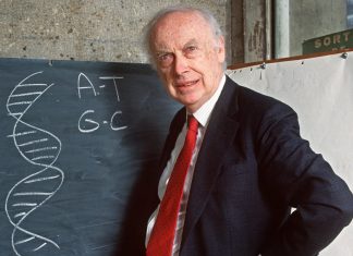 James Watson, DNA double helix pioneer, dies at 97 DNA pioneer James Watson dies aged 97
