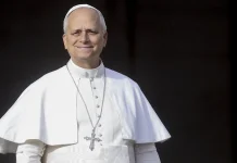 Pope Condemns Global Political Inaction on Climate Change Pope decries lack of political will on climate change