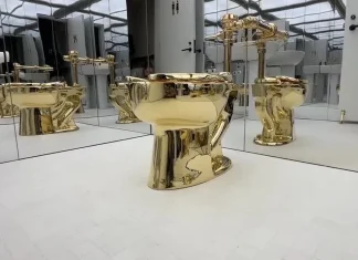 Video shows fully operational solid-gold toilet sold for $12 million Watch: Fully functional gold toilet sells for $12m