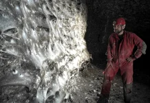 Watch: Researchers uncover communal web sheltering over 110,000 spiders Watch: Web home to more than 110,000 spiders discovered