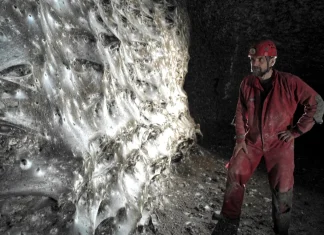 Watch: Researchers uncover communal web sheltering over 110,000 spiders Watch: Web home to more than 110,000 spiders discovered