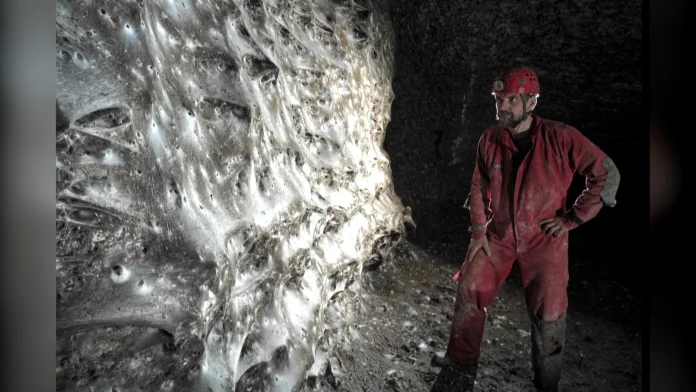 Watch: Researchers uncover communal web sheltering over 110,000 spiders Watch: Web home to more than 110,000 spiders discovered