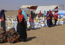 Drone Strikes on Sudanese Kindergarten and Hospital Leave Dozens Dead Drone strikes on Sudan kindergarten, hospital kill dozens