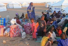 Drone strike on Darfur market in Sudan kills 10, rescuers report Sudan drone attack on Darfur market kills 10: rescuers