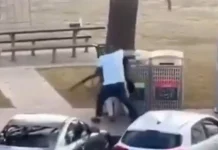 Footage shows bystander tackling and disarming gunman at Bondi Beach Watch: 'Hero' tackles and disarms gunman at Bondi Beach