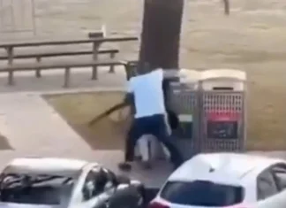 Footage shows bystander tackling and disarming gunman at Bondi Beach Watch: 'Hero' tackles and disarms gunman at Bondi Beach