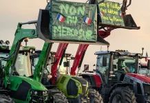 France and Italy Push to Postpone Vote on Mercosur Trade Agreement France and Italy want Mercosur trade deal vote delayed