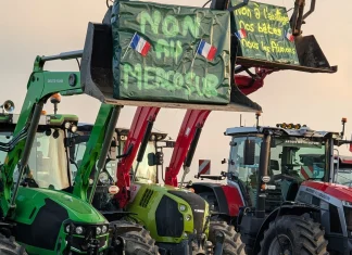 France and Italy Push to Postpone Vote on Mercosur Trade Agreement France and Italy want Mercosur trade deal vote delayed