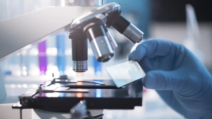 France confirms two MERS cases in international tour group France detects two MERS virus cases among tour group