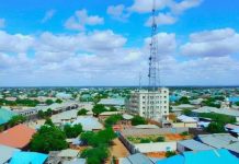 Lix ruux oo siyaabo kala duwan loogu dilay magaalada Beledxaawo