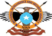 NISA oo howlgal culus ka fulisay degmada Jilib oo saldhig weyn u ah Shabaab