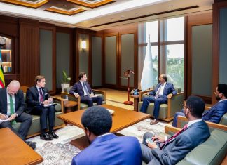 President Hassan receives a high-ranking delegation from the Swedish government