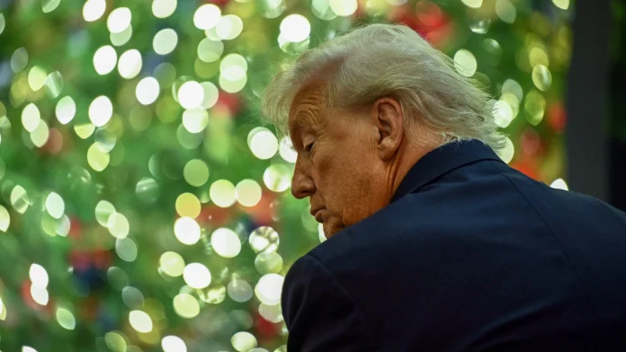 US lays out plan to redirect Europe's trajectory US sets out stall for correcting 'Europe's trajectory'